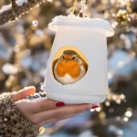 Arrêtez de jeter ce pot en plastique : les oiseaux en raffolent surtout en hiver