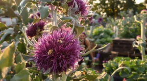 Les abeilles adorent ce légume, et nous aussi : voici pourquoi il séduit autant au jardin qu’en cuisine