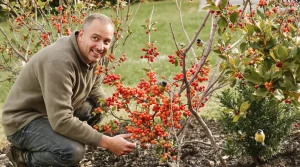 Plantée en mars, cette plante attire des tas d’oiseaux dans votre jardin, voici pourquoi