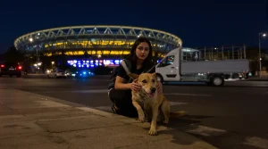 Maroc : derrière la CAN, l’extermination des chiens errants à cinq ans de la Coupe du monde