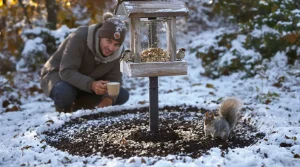 Pourquoi les jardiniers saupoudrent désormais du café sur les mangeoires à oiseaux